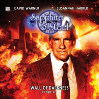 Wall of Darkness